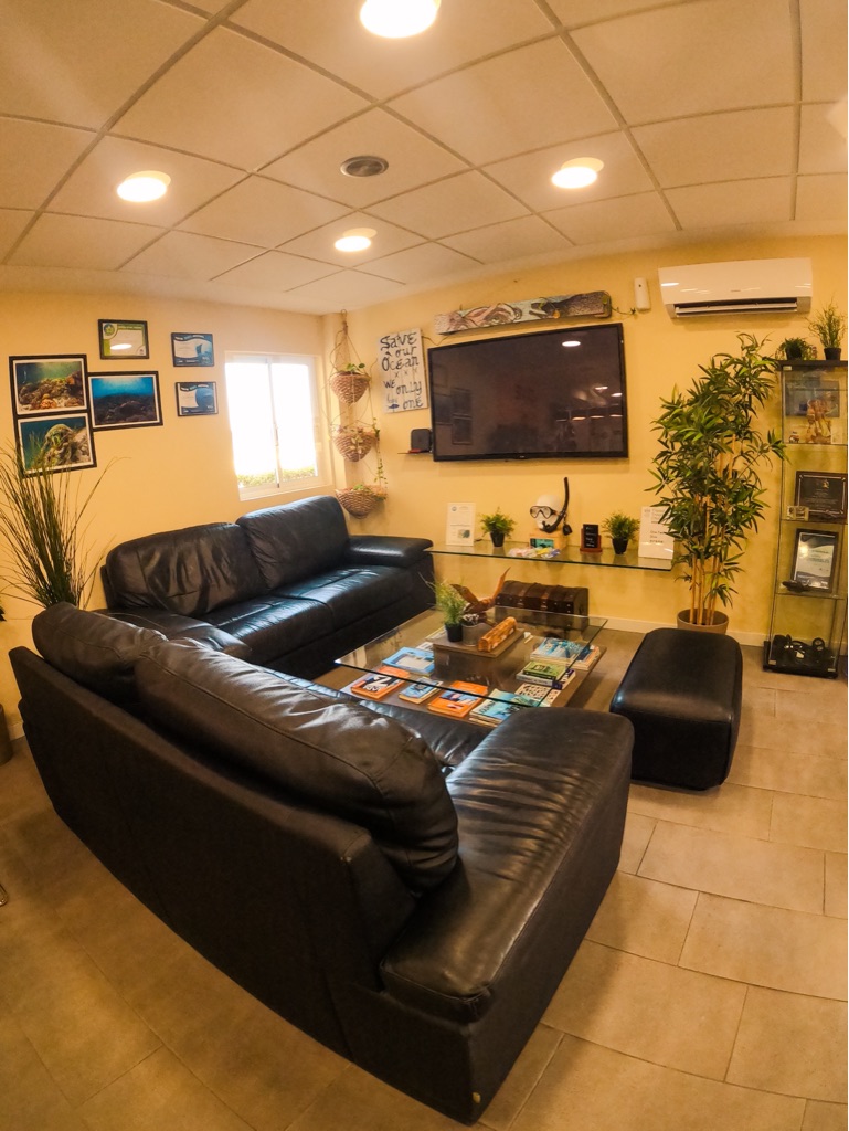 Dive Center For Sale - Boutique diving school in the most promissing area of Tenerife